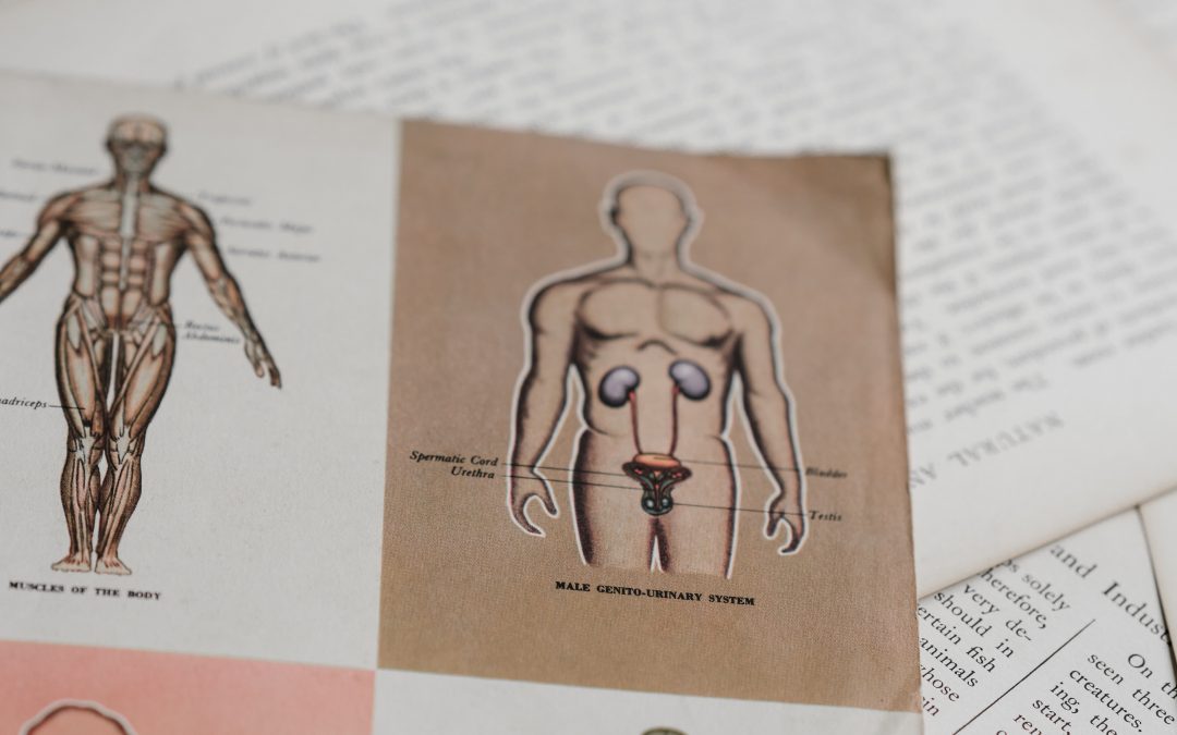 So You Want to be a Yoga Therapist by Dr. Timothy McCall, M.D.