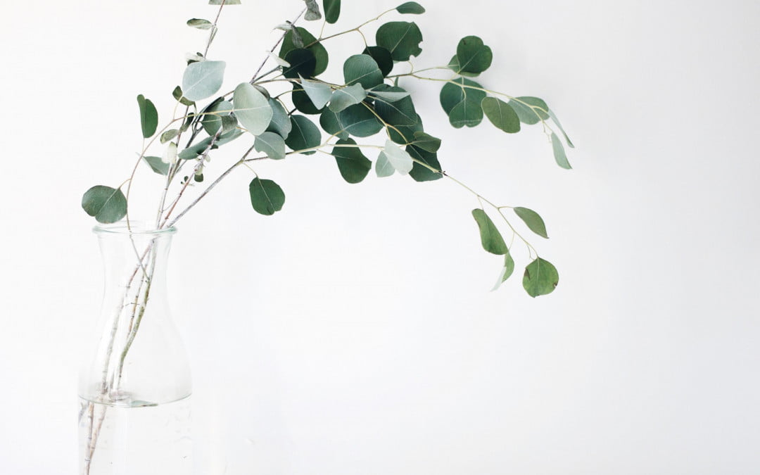 Wellness and Yoga by Marc Cohen