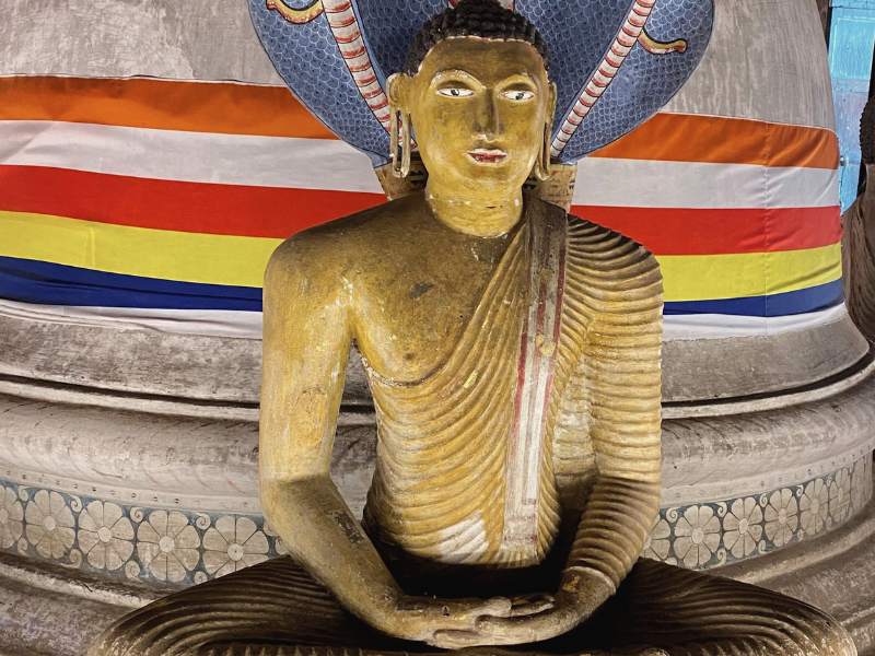 Yoga & Meditation Retreat to Sri Lanka