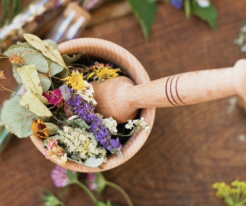 Ayurveda for Menopause Training